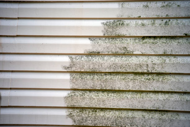 Best Historical Building Siding Restoration  in , FL